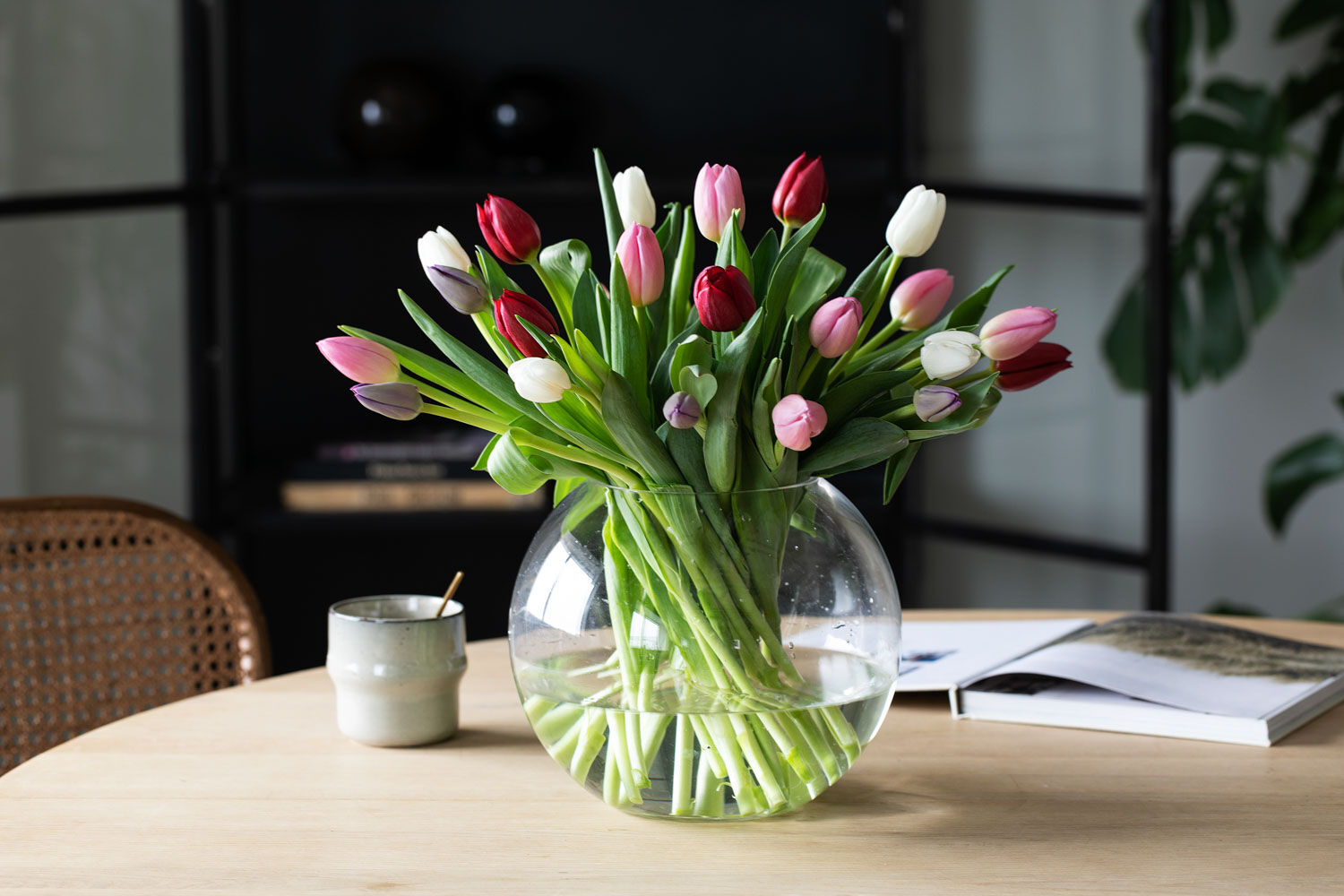 tulipaner bringer våren inn i stuen